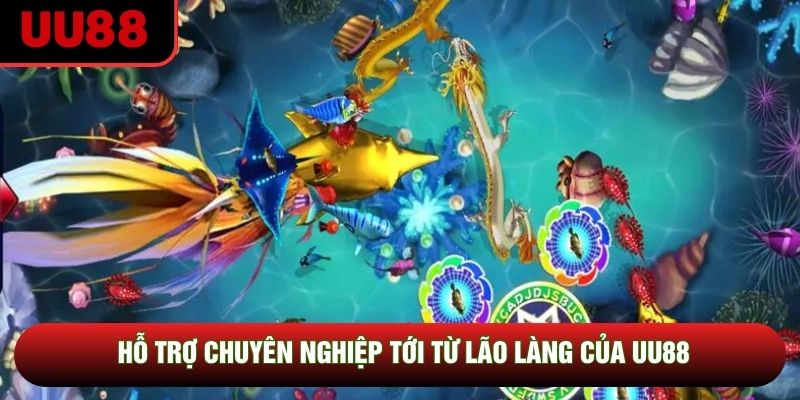 Hỗ trợ chuyên nghiệp tới từ lão làng của UU88 Hỗ trợ chuyên nghiệp tới từ lão làng của UU88